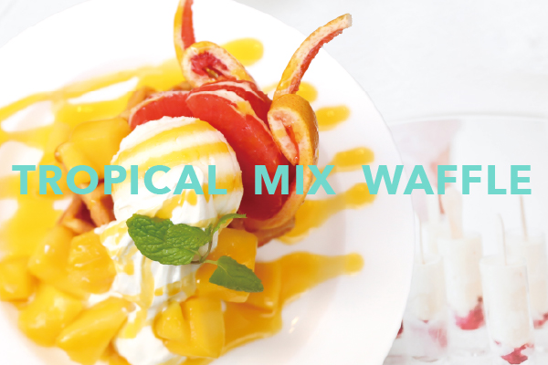 NOA CAFE : 夏の季節限定メニューが始まります！詳細写真