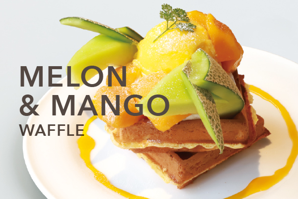 NOA COFFEE : 夏の季節限定メニューが始まります！詳細写真